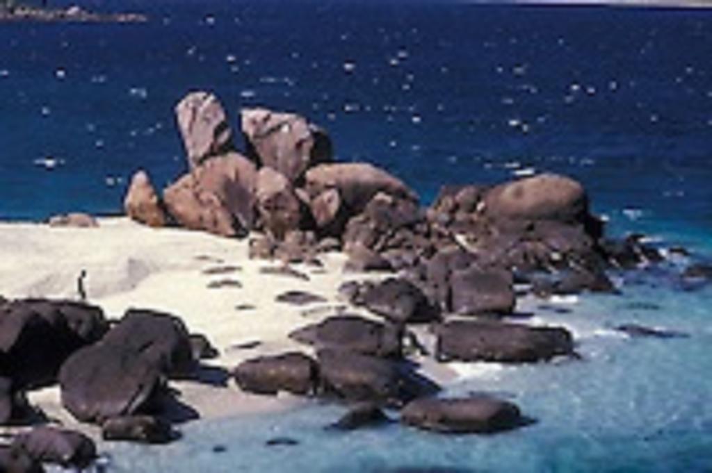 Zimbay Guest House 아루감 베이 외부 사진